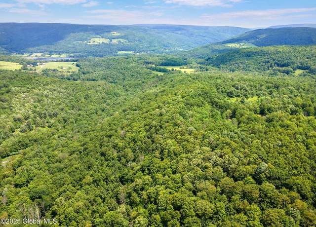 Property at L1 Lassen Rd, Broome, NY 12122