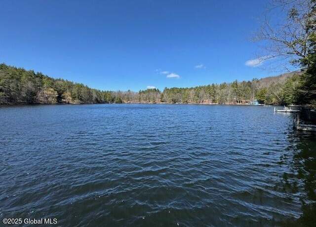 Property at 74 E Green Pond Way, Granville, NY 12832