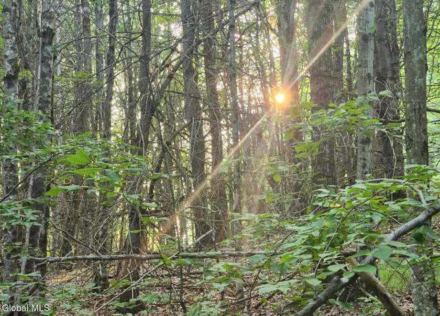 Property at L-11 Rebel Rdg, Jefferson, NY 12093