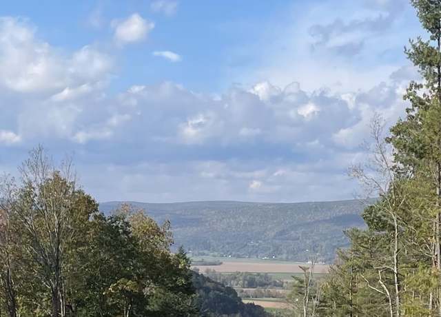 Property at 000 Huntersland Rd, Middleburgh, NY 12122