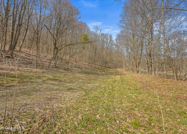 Property at L9.112 Lutheranville Rd, East Worcester, NY 12175