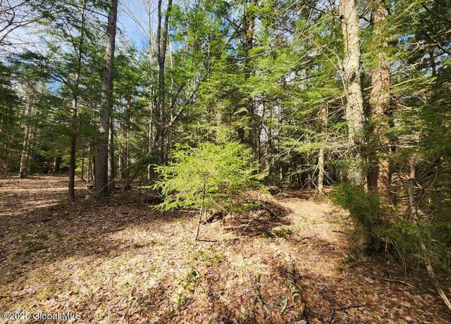 Property at L2 Yankee St, Summit, NY 12175