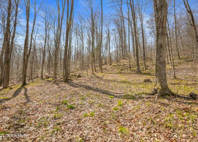 Property at L9.113 Lutheranville Rd, East Worcester, NY 12175