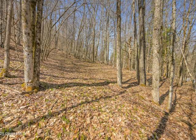 Property at L9.114 Lutheranville Rd, East Worcester, NY 12175
