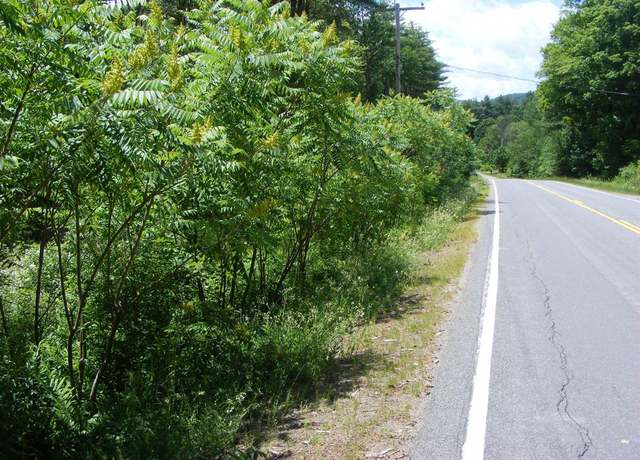 Property at L13 County Hwy 123, Mayfield, NY 12117