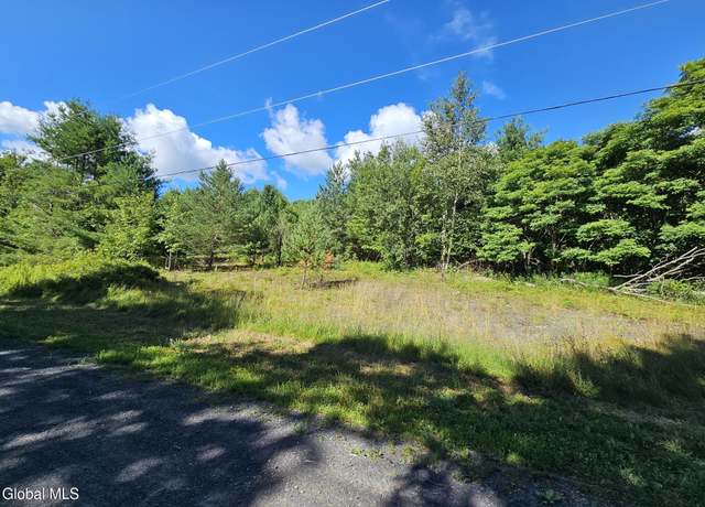 Property at L-16.5 Donlan Heights Rd, Middleburgh, NY 12122