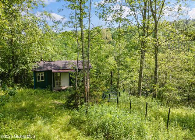 Property at 616 Enid Rd, Summit, NY 12175