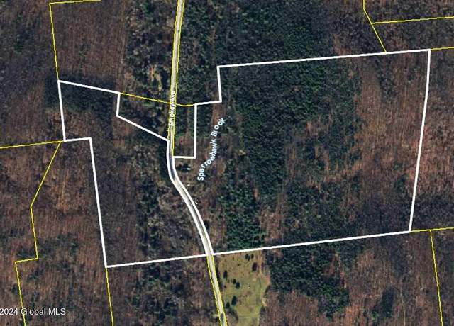 Property at 708 Smokey Ave, Schenevus, NY 12155