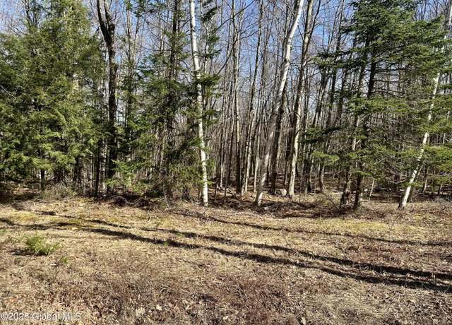 Property at L-19 SW States Rd, Stony Creek, NY 12878