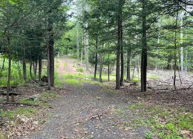 Property at 145 Frank Hitchcock Rd, Cairo, NY 12413