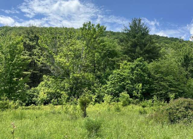 Property at L5.126 Tae Kwon Rd, North Blenheim, NY 12131