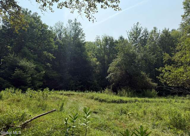 Property at L17 Off Vanderwalker Rd, Chestertown, NY 12817