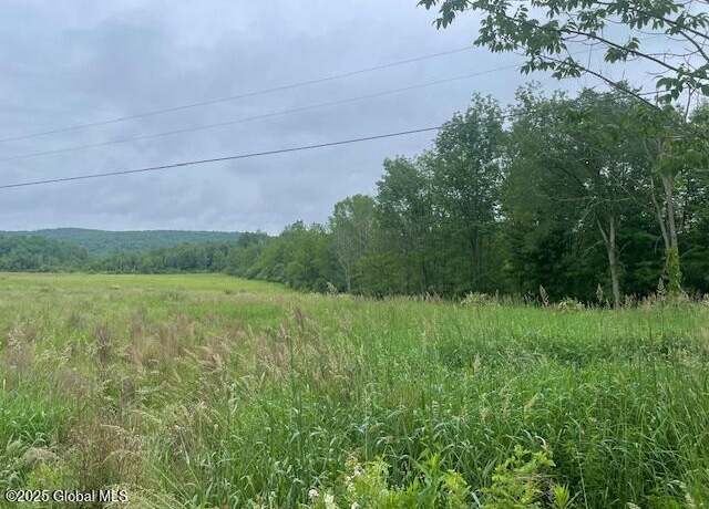 Property at 351 Hunt Rd, Buskirk, NY 12028