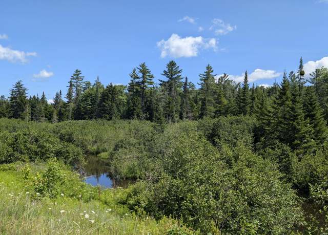 Property at 10279 Adirondack Trl, Malone, NY 12953