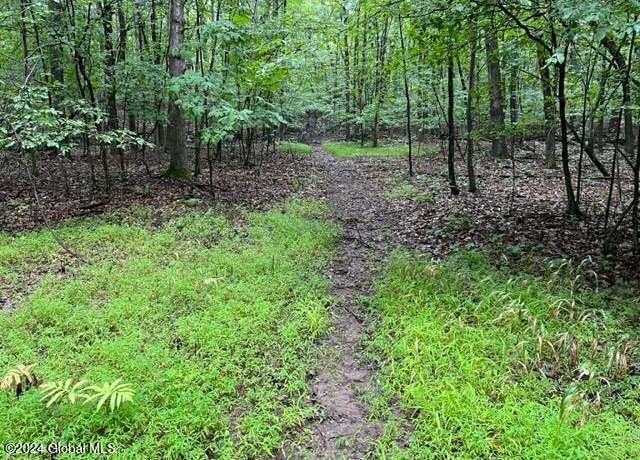 Property at L2.2 Canniff Rd, Freehold, NY 12413
