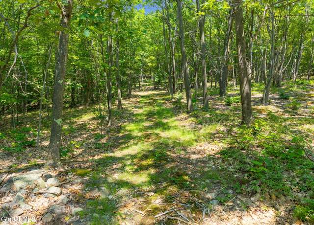 Property at L7 Harroway Rd, Richmondville, NY 12149