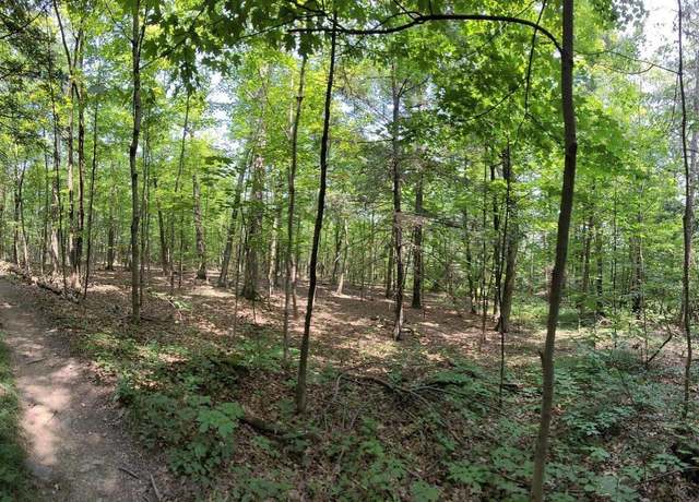 Property at 50 Finger Hill Rd, Saugerties, NY 12477