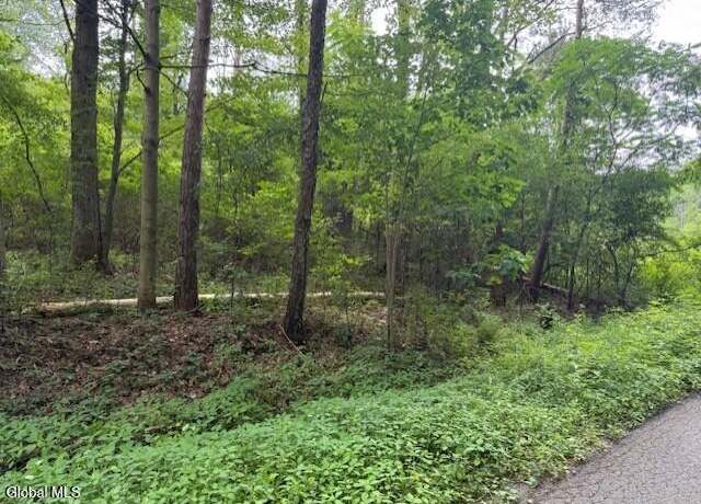 Property at L-56 Overlook Ln, Princetown, NY 12056