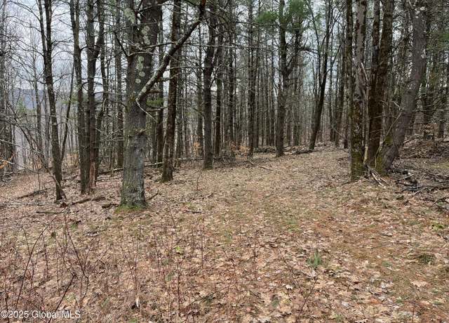 Property at L9 Laura Ln Unit L9, Middleburgh, NY 12122