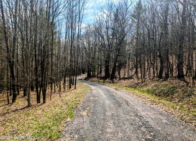 Property at L17 Birchwood Dr, Windham, NY 12496