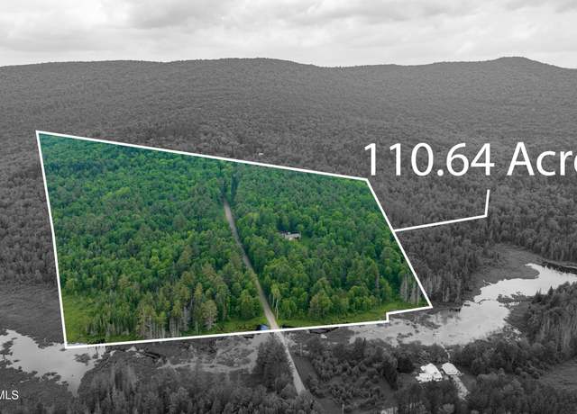 Property at 11 Darling Rd, Stony Creek, NY 12878, 3 beds, 2 baths