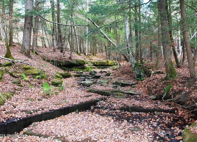 Property at L2 Lawton Hollow Rd, Berne, NY 12023