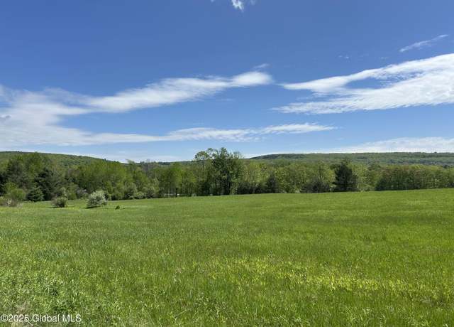 Property at Lot 2 Gifford Hollow Rd, Berne, NY 12023