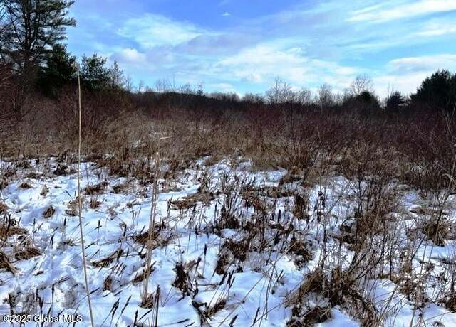 Property at L5.1 State Highway 162, Esperance, NY 12066