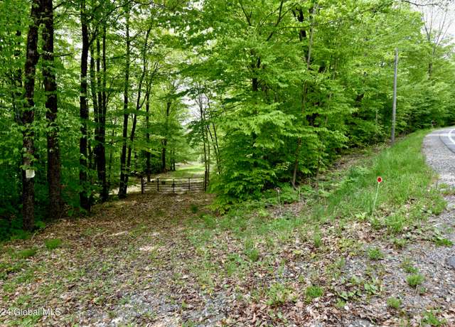 Property at 430 Lake Desolation Rd, Middle Grove, NY 12850