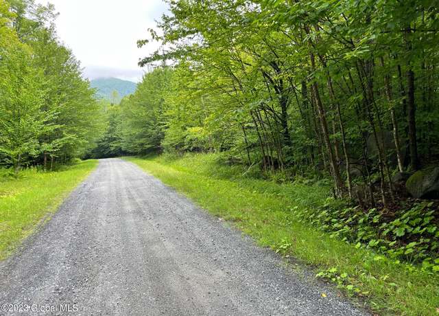 Property at 36 Ruby Mountain View Dr, North River, NY 12856