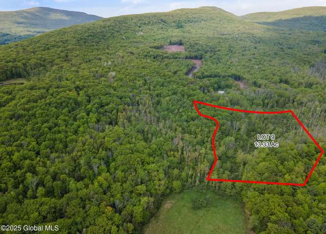 Property at 1 Galway Rd, Windham, NY 12496