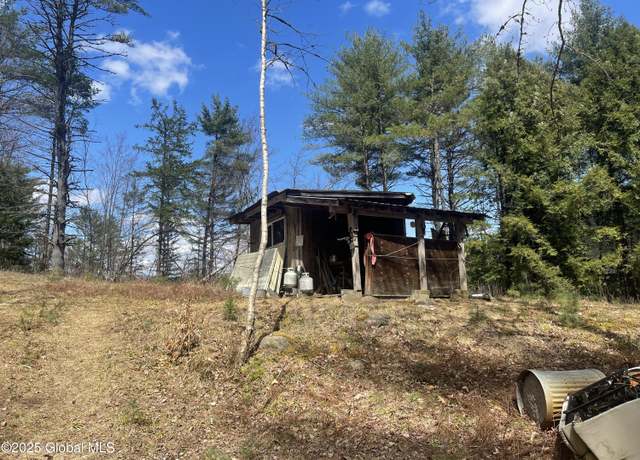 Property at 385 Johnson Rd, Adirondack, NY 12808