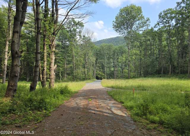 Property at L 3 2065 Ny-313, Shushan, NY 12873