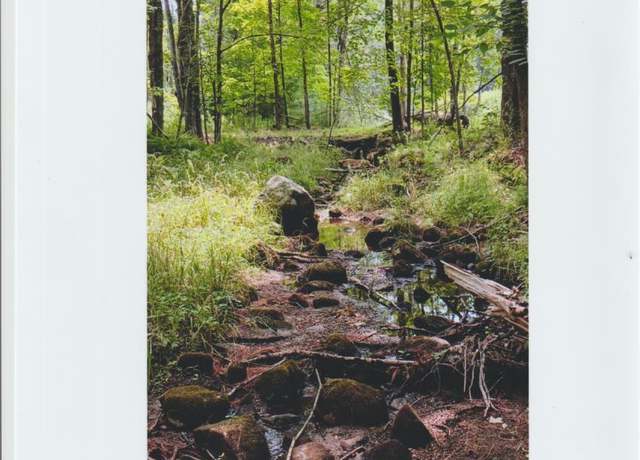 Property at 1260 Valentine Pond Rd, Adirondack, NY 12808