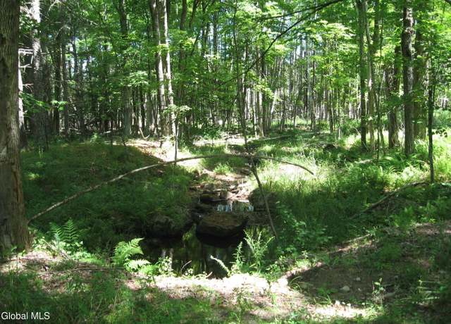 Property at 1260 Valentine Pond Rd, Adirondack, NY 12808