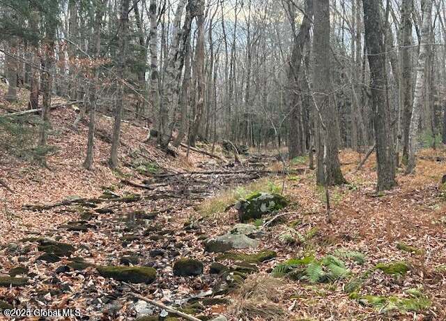 Property at 1A Nugent Rd, Grafton, NY 12082