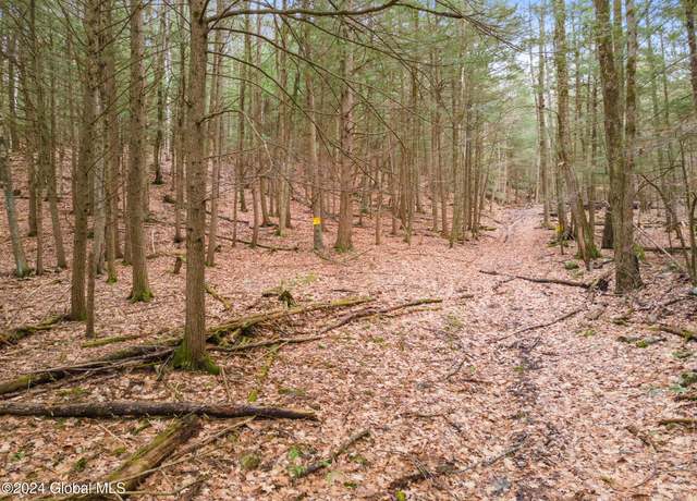 Property at L18.1 Engle Rd, Schoharie, NY 12157