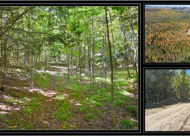 Property at 102 Carriage Knoll Rd, Chestertown, NY 12817