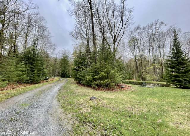 Property at 20 Smith Rd, Athol, NY 12810