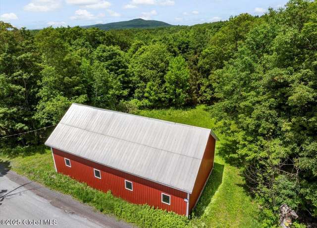 Property at L3 Durham Rd, Conesville, NY 12076