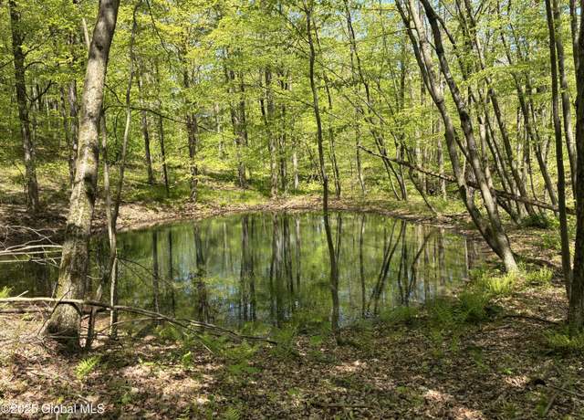 Property at 0 County Route 5 & I90, Canaan, NY 12060