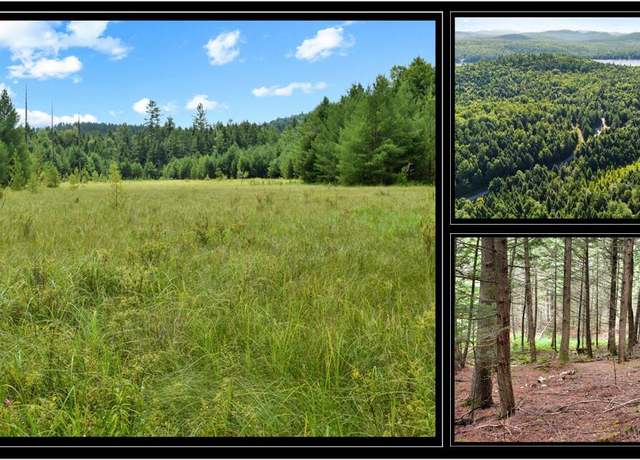 Property at 3-4 Adirondack Heights Rd, Chestertown, NY 12817
