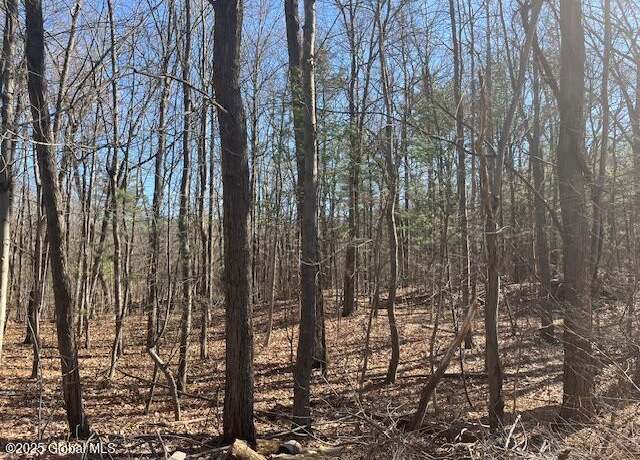 Property at 291 Vly Rd, Niskayuna, NY 12309