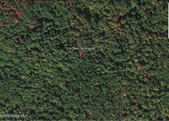 Property at 270 Collins Gifford Valley Rd, Northville, NY 12134