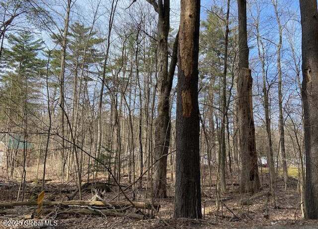 Property at L44 Pillar Way, Fort Ann, NY 12827