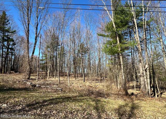 Property at L26 Snake Hill Rd, Poestenkill, NY 12140