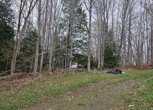 Property at 1502 State Route 10, Jefferson, NY 12093