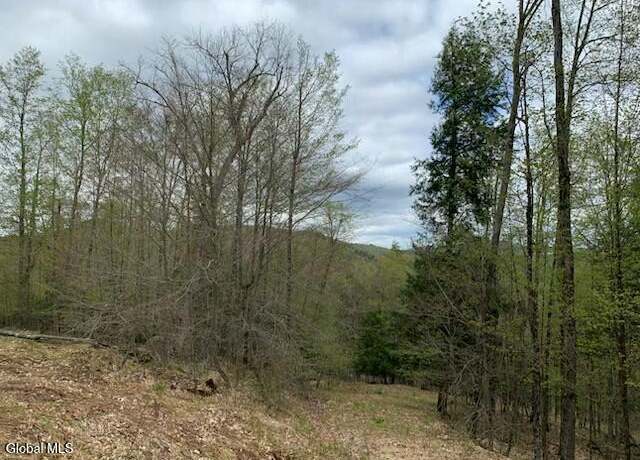 Property at L4 Alder Brook Rd, Horicon, NY 12815