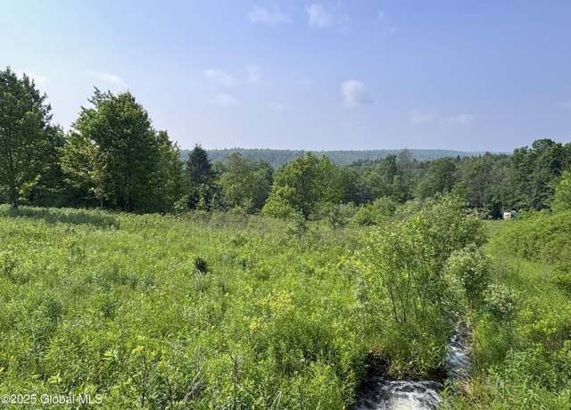 Property at 1943 State Route 10, Jefferson, NY 12093