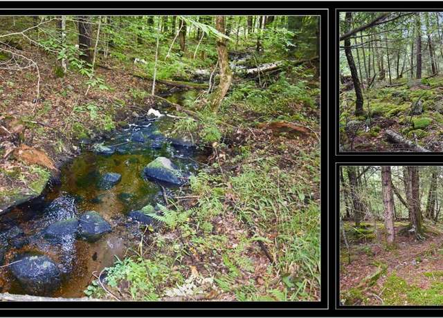Property at L72.1 Woodridge Dr, Brant Lake, NY 12815